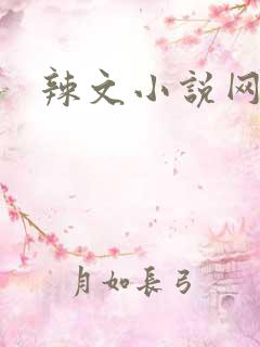 辣文小说网