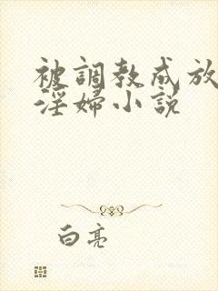 被调教成放荡小淫妇小说
