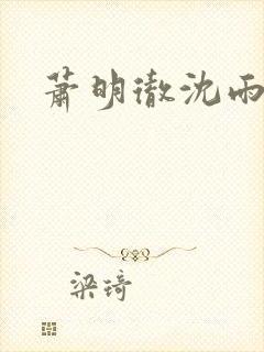 萧明彻沈雨燃