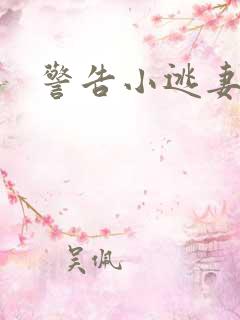 警告小逃妻
