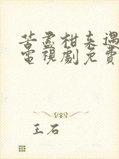 苦尽柑来遇见你电视剧免费观看完整版