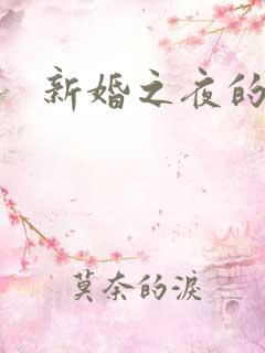 新婚之夜的视频