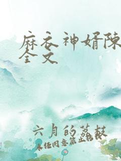 麻衣神婿陈黄皮全文