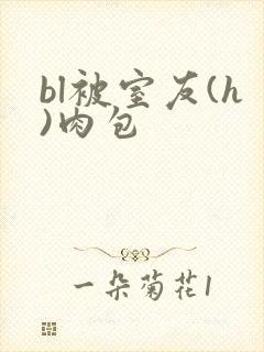 bl被室友(h)肉包