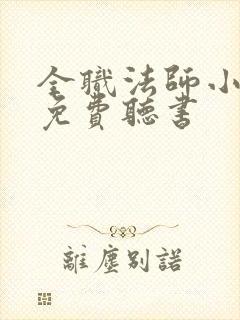 全职法师小说 免费听书