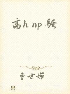 高h np 骚