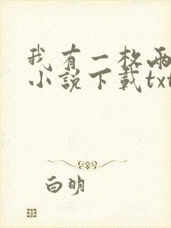 我有一枚两界印小说下载txt