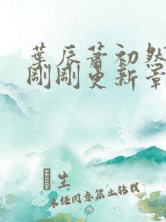 叶辰萧初然今天刚刚更新章节