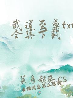 武道至尊txt全集下载