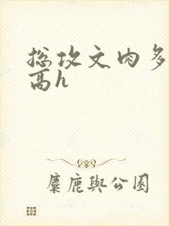 总攻文肉多荤文高h