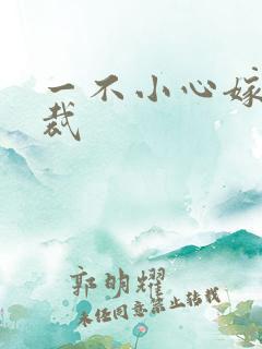 一不小心嫁给总裁