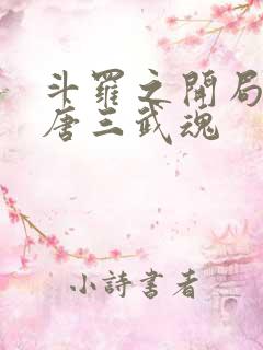 斗罗之开局揭露唐三武魂