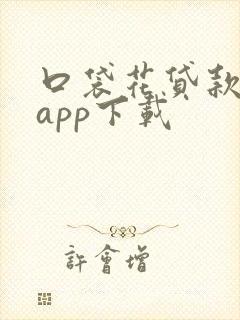 口袋花贷款借款app下载