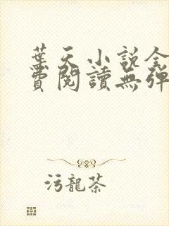 叶天小说全文免费阅读无弹窗