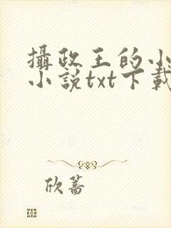 摄政王的小闲妻小说txt下载