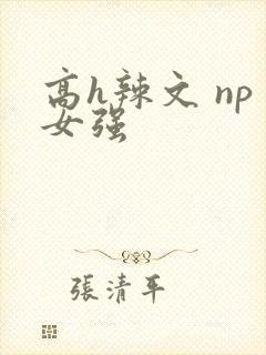 高h辣文 np女强