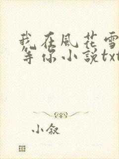 我在风花雪月里等你小说txt网盘