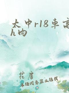 太中r18车高h肉