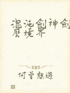 混沌剑神剑尘什么境界