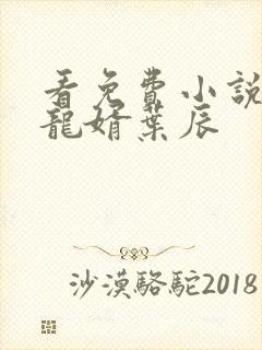 看免费小说上门龙婿叶辰