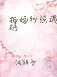 拍婚纱照遇黑天鹅