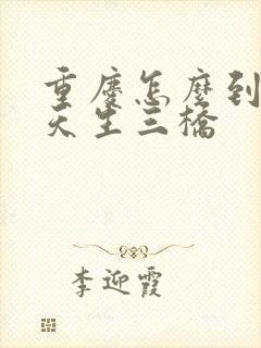 重庆怎么到武隆天生三桥