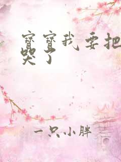 宝宝我要把你顶哭了