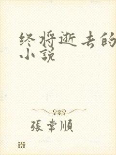 终将逝去的青春小说