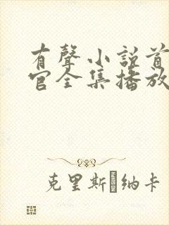 有声小说首席医官全集播放