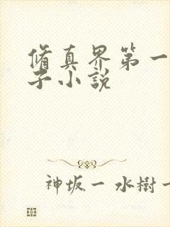 修真界第一病秧子小说