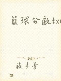 篮球公敌txt