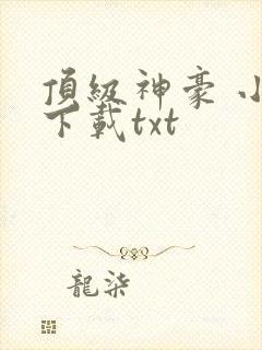 顶级神豪 小说下载txt