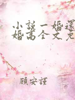 小说一婚还比一婚高全文免费阅读