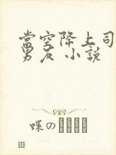 当空降上司是前男友 小说