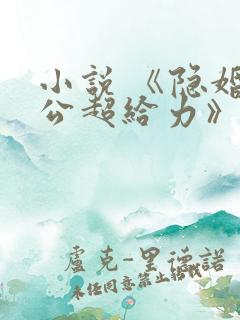 小说 《隐婚老公超给力》