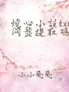 烧心小说txt网盘提取码