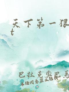 天下第一狠txt