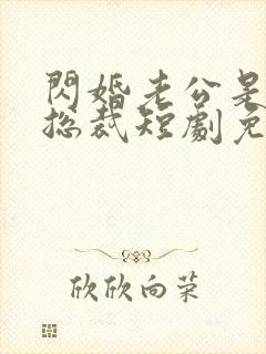 闪婚老公是亿万总裁短剧免费观看