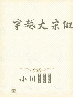 穿越大宋做诸葛