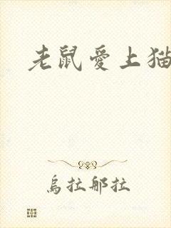 老鼠爱上猫下载