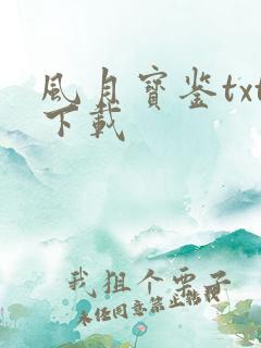 风月宝鉴txt下载