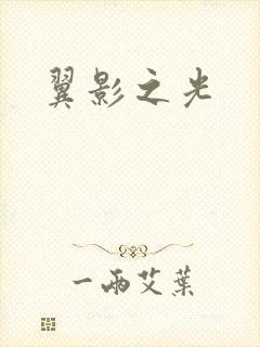 翼影之光
