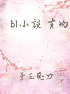 bl小说 有肉