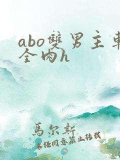 abo双男主车全肉h