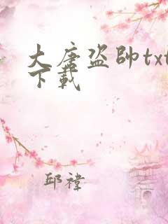 大唐盗帅txt下载