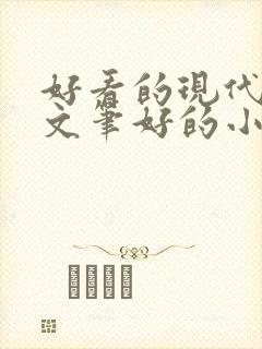 好看的现代言情文笔好的小说