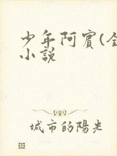 少年阿宾(全)小说