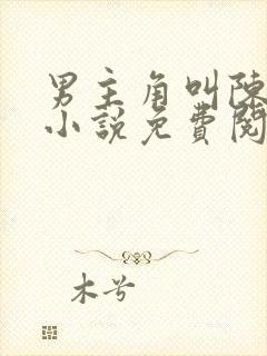 男主角叫陈平的小说免费阅读