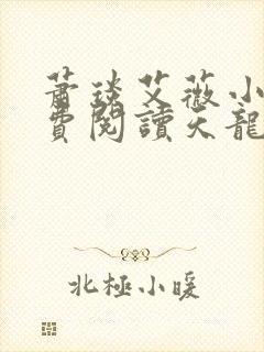 萧琰艾薇小说免费阅读天龙殿