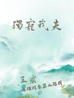 独宠我夫